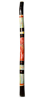 Suzanne Gaughan Didgeridoo (JW645)